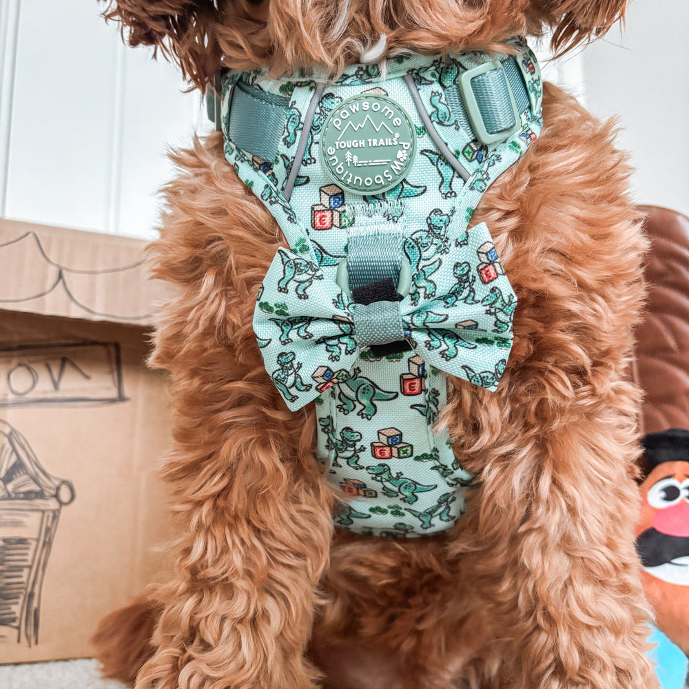 Disney© Bow Tie - Rex