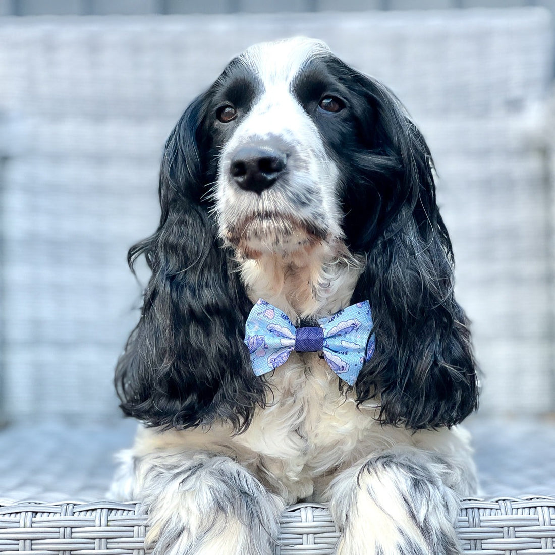 Disney© Bow Tie - Eeyore