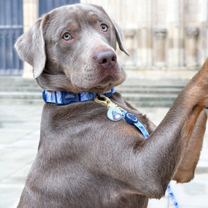 Disney© Lead - Eeyore