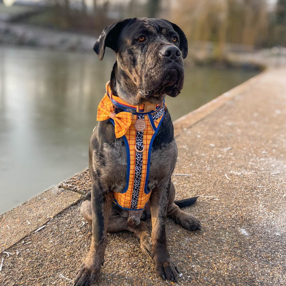 Disney© Bow Tie - Woody