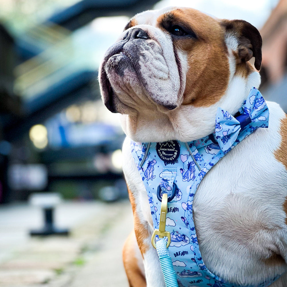 Disney© Bow Tie - Eeyore