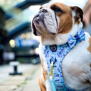 Disney© Bow Tie - Eeyore