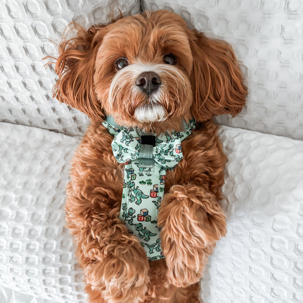 Disney© Bow Tie - Rex