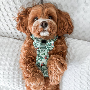 Disney© Bow Tie - Rex