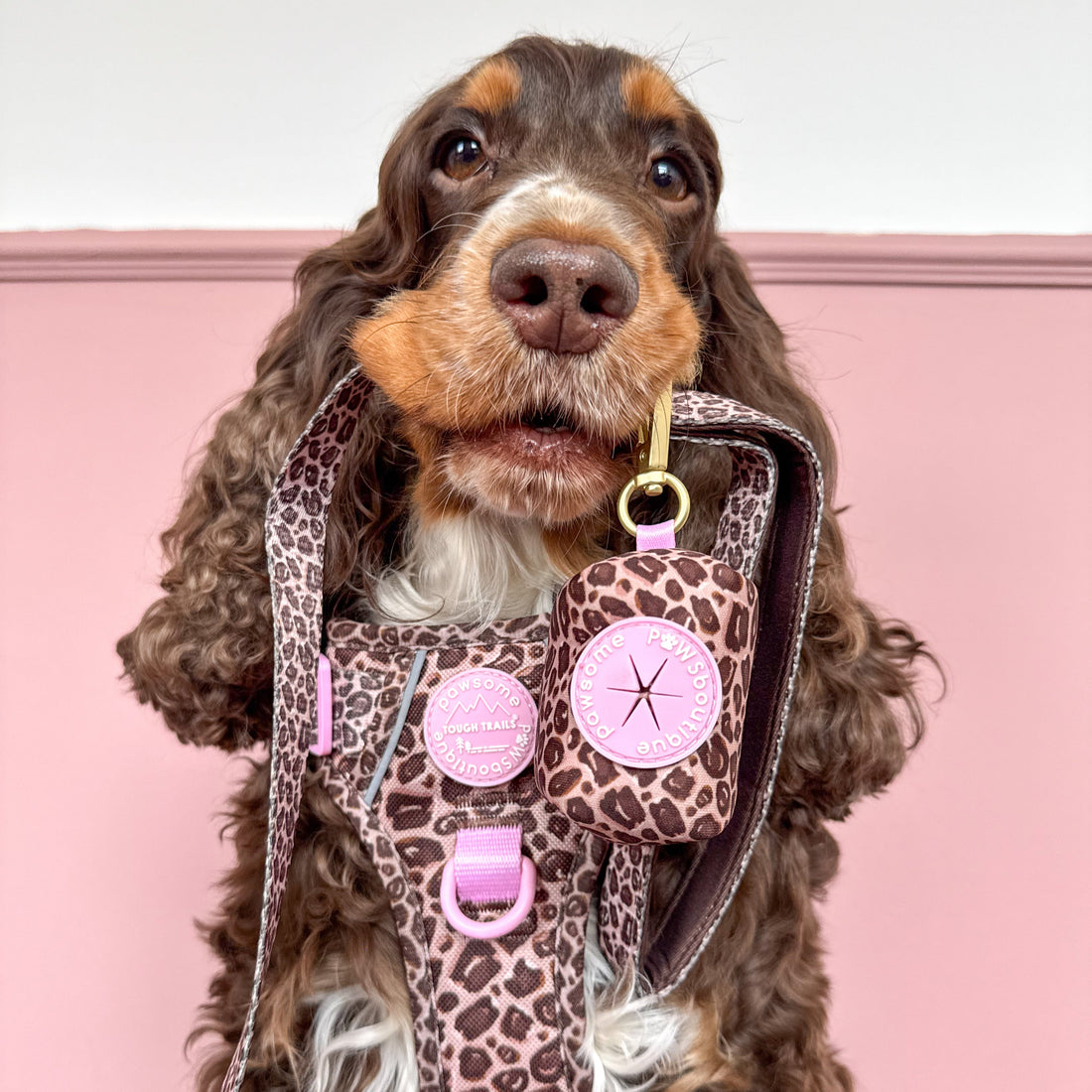 Poo Bag Holder - Leopard Print