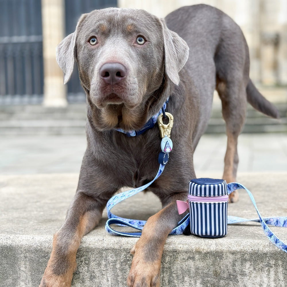 Disney© Lead - Eeyore