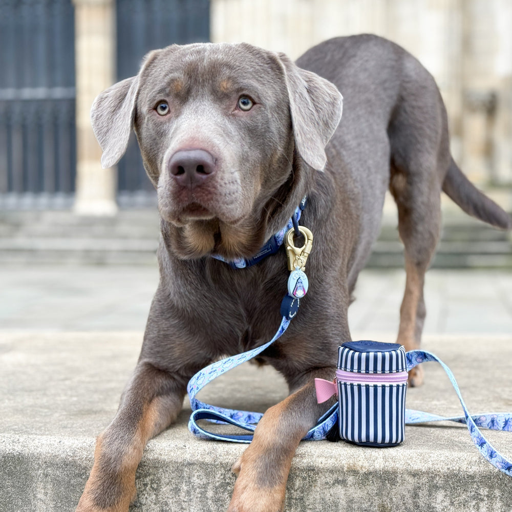 Disney© Treat Pouch - Eeyore