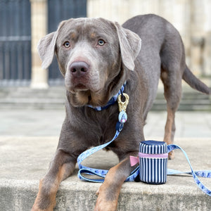 Disney© Treat Pouch - Eeyore