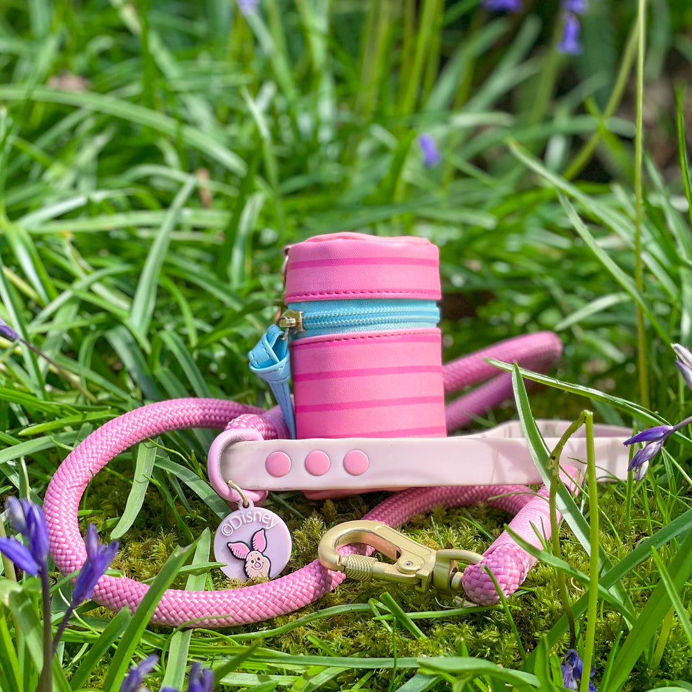 Disney© Treat Pouch - Piglet