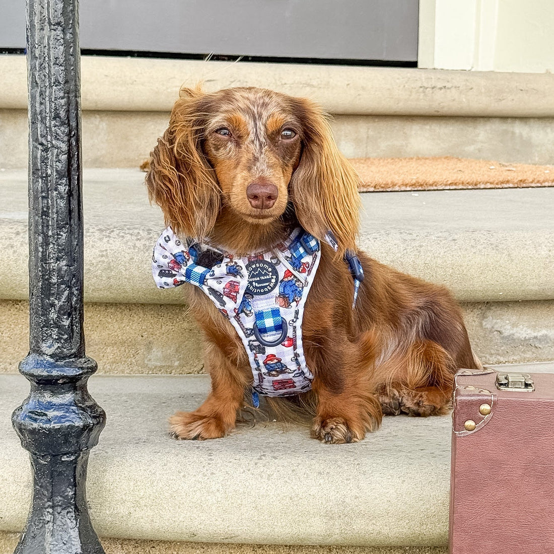 Paddington™ Bow Tie - London