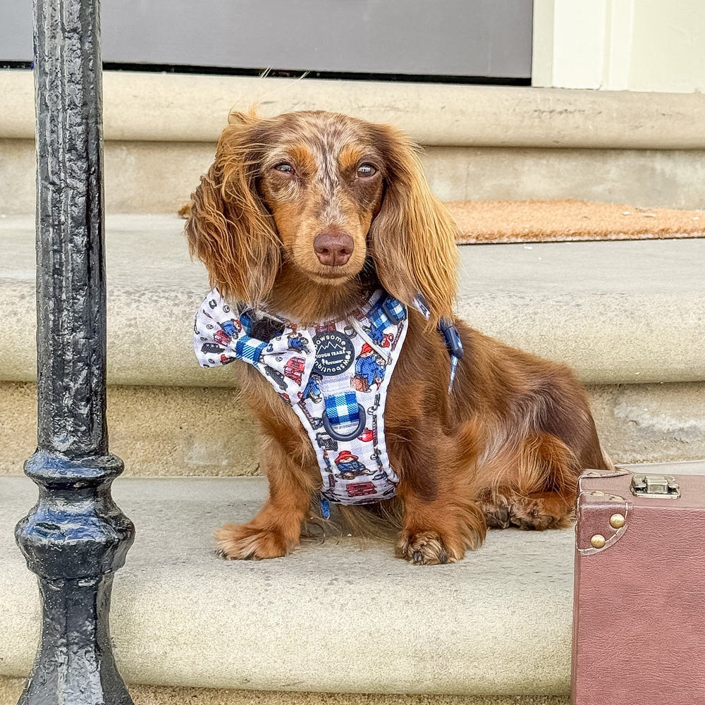 Paddington™ Bow Tie - London