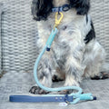 Disney© 4ft Rope Lead - Eeyore - Baby Blue and Navy
