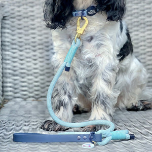 Disney© 4ft Rope Lead - Eeyore - Baby Blue and Navy