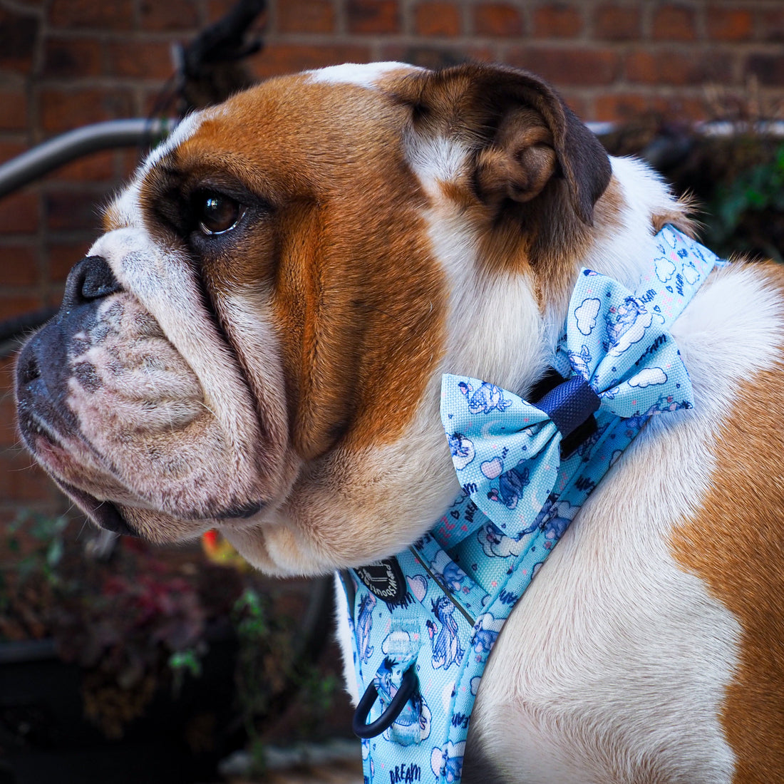 Disney© Bow Tie - Eeyore
