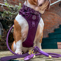 4ft Rope Lead - Walkies Ready® Plum