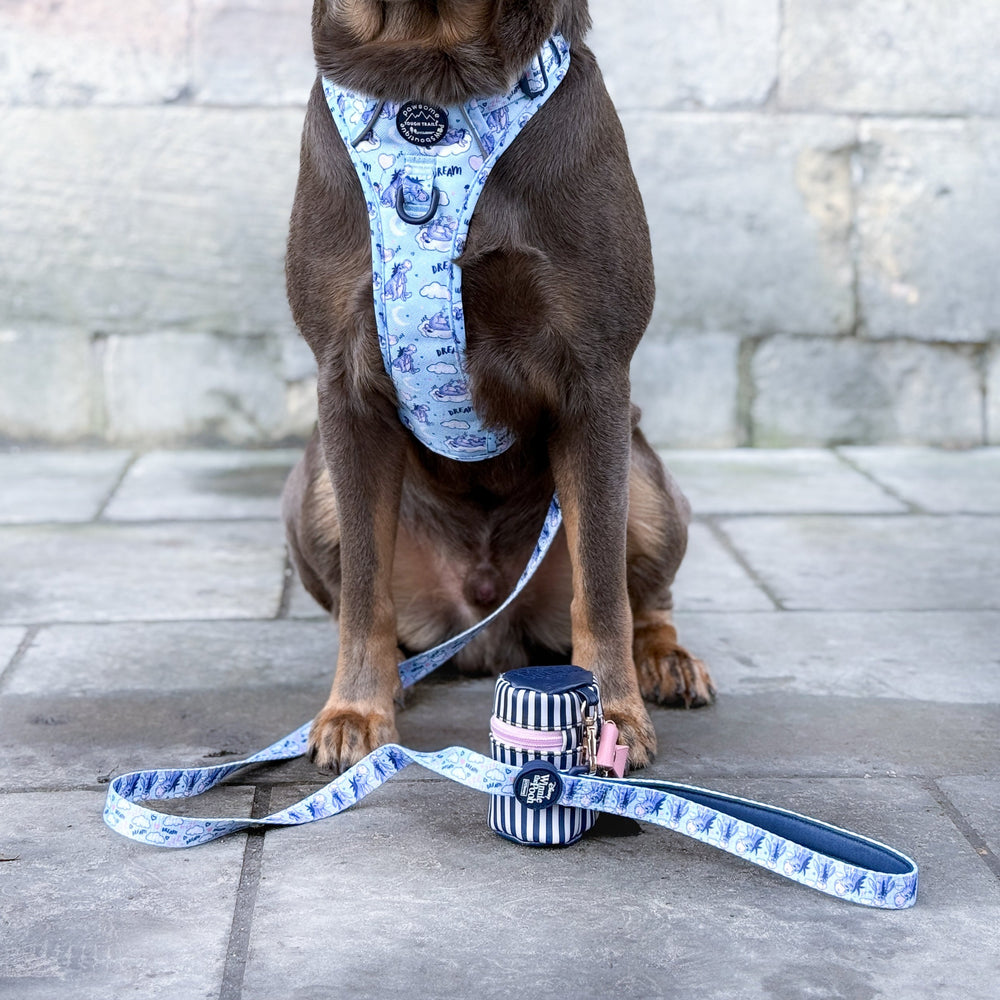 Disney© Lead - Eeyore