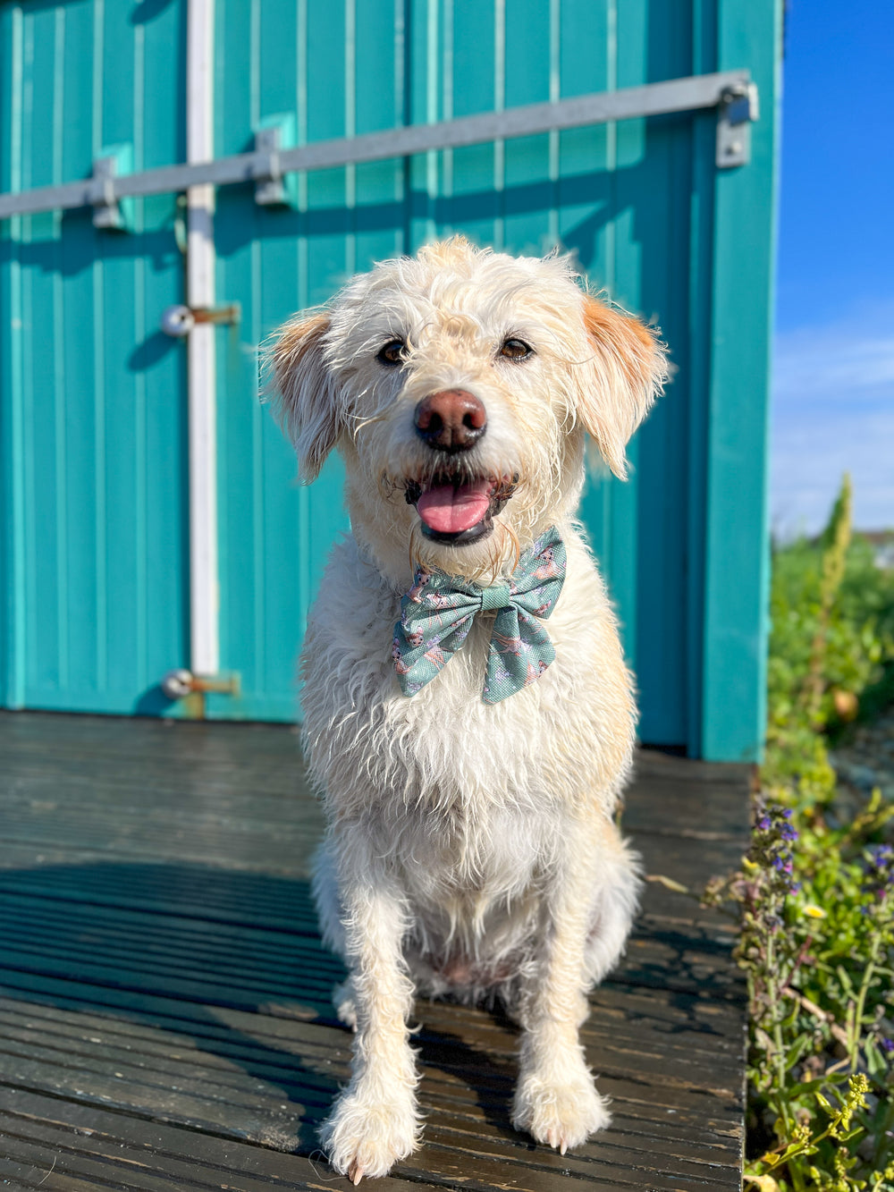 Disney© Sailor Bow Tie - Bambi + Thumper