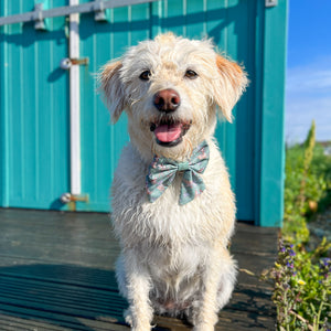 Disney© Sailor Bow Tie - Bambi + Thumper