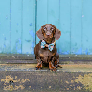 Disney© Bow Tie - Lion Friends