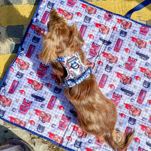 Paddington™ Travel Mat - London