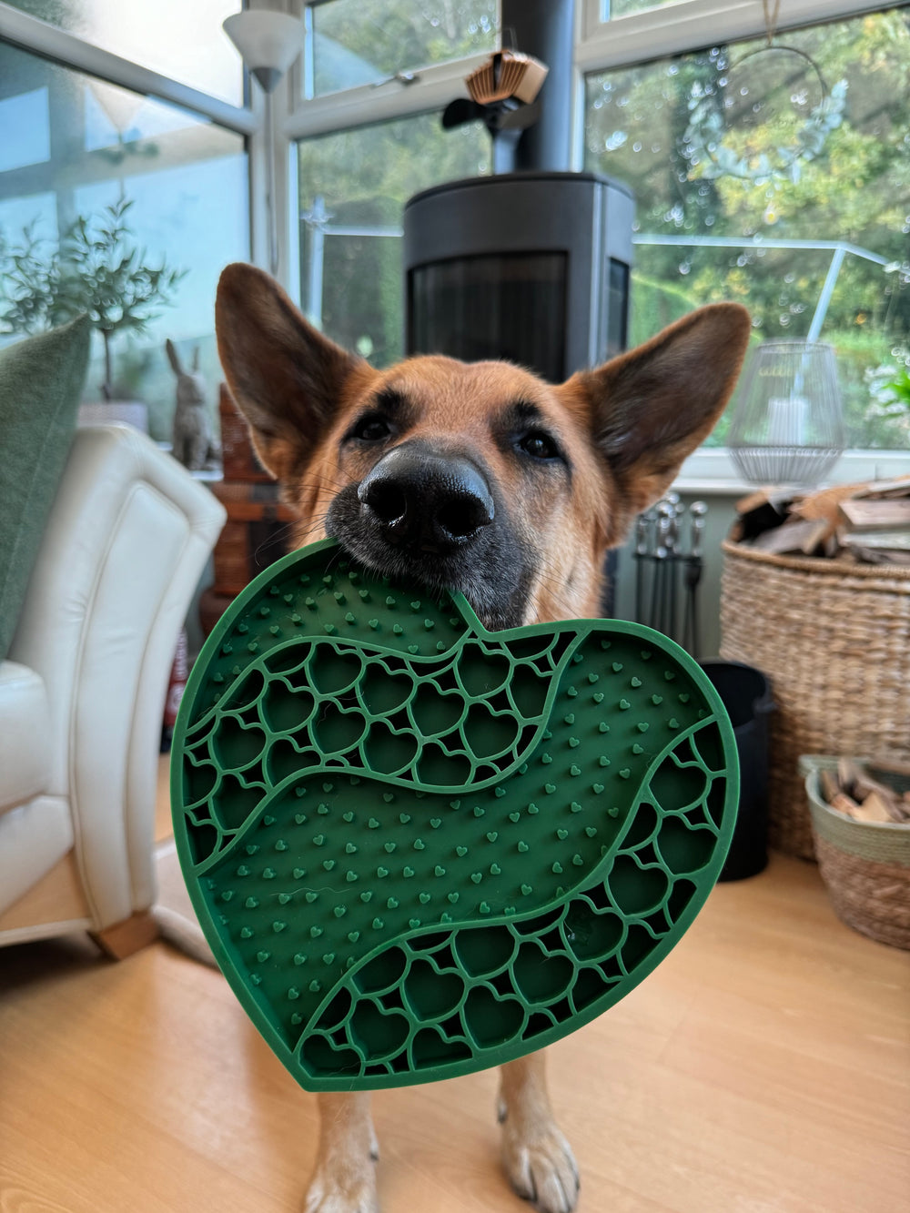 Lick Mat - Forest Green