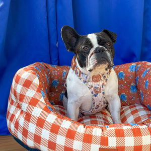 Dog Bed - Paddington™