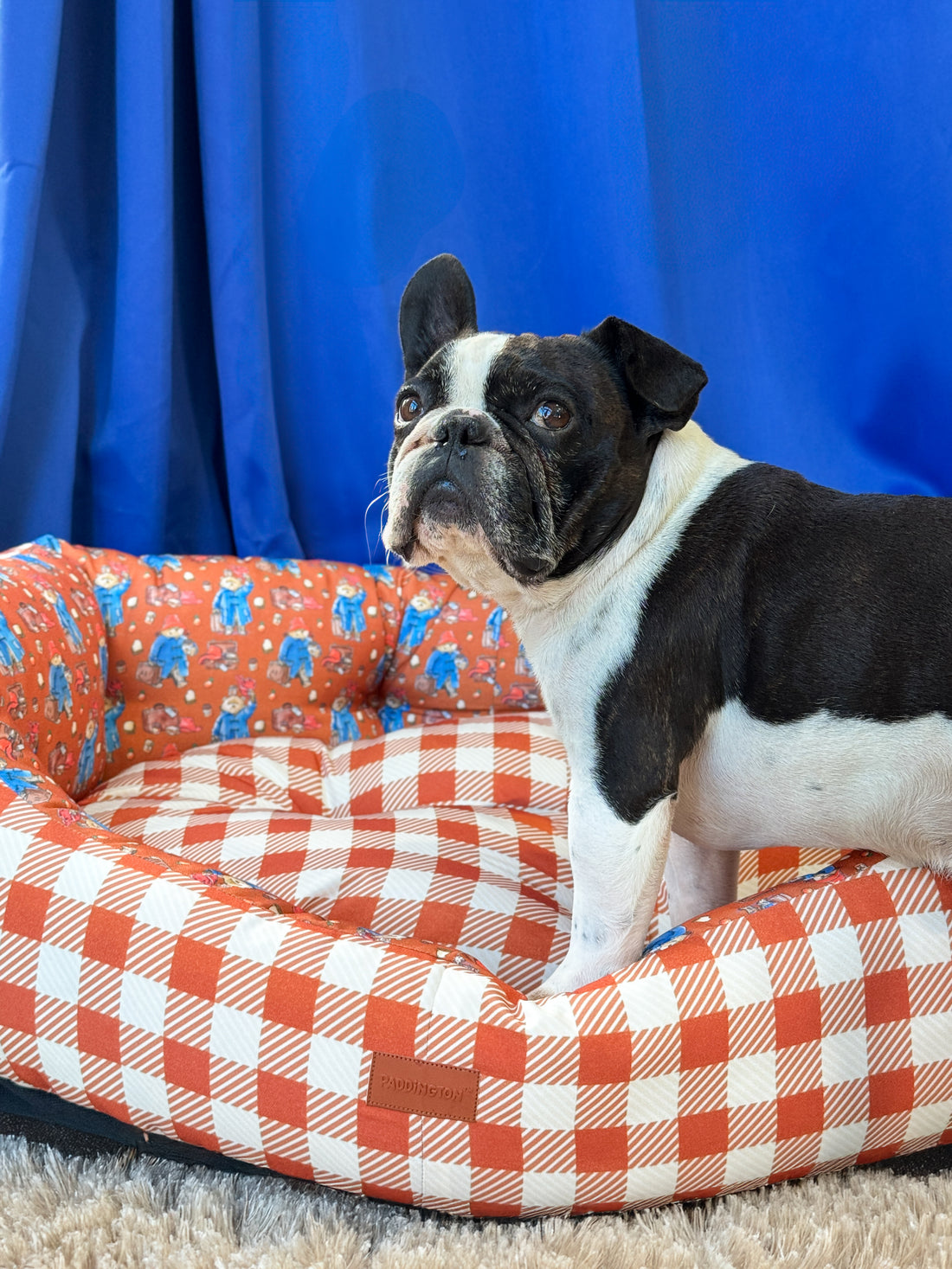 Dog Bed - Paddington™