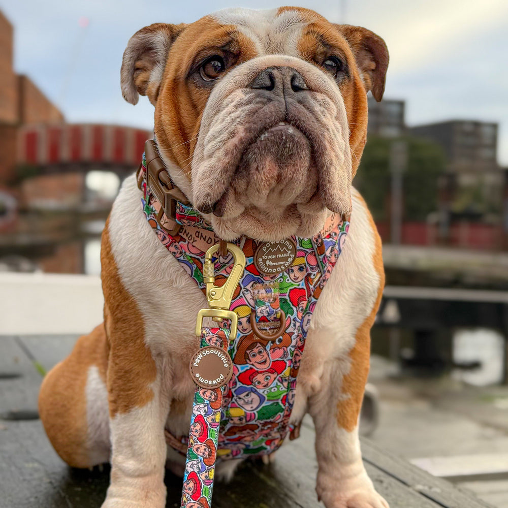 Disney© Lead - Toy Story Friends