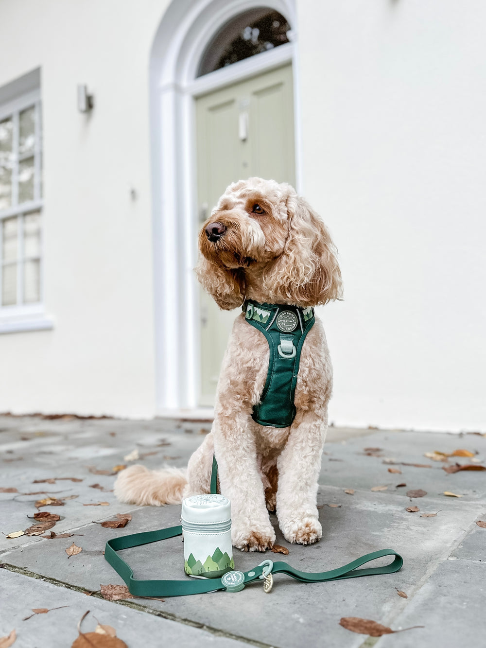 4ft Waterproof Lead - Walkies Ready® Forest Green