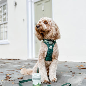 4ft Waterproof Lead - Walkies Ready® Forest Green