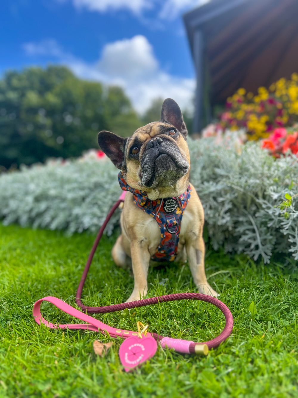 4ft Rope Lead - Mulberry