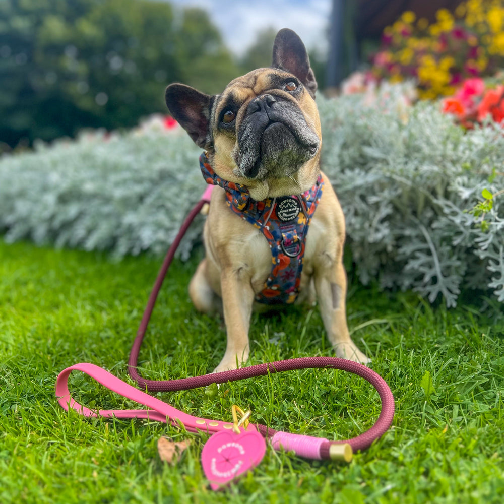 Pawsome Poop Pocket - Pretty Pink