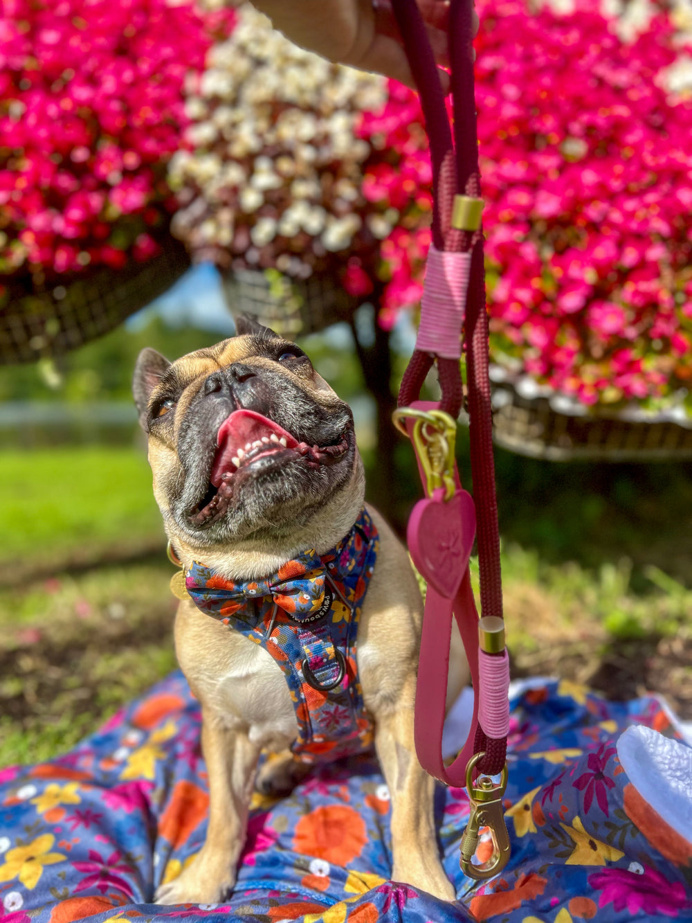 4ft Rope Lead - Mulberry