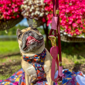 4ft Rope Lead - Mulberry