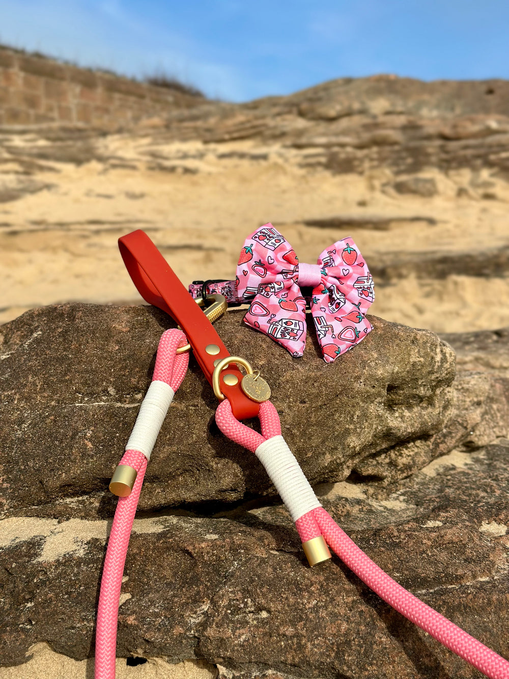 4ft Rope Lead - Red + Pink