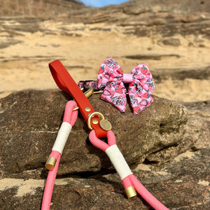 4ft Rope Lead - Red + Pink