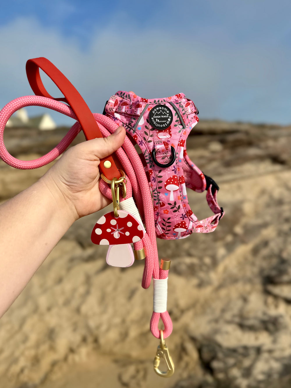 4ft Rope Lead - Red + Pink