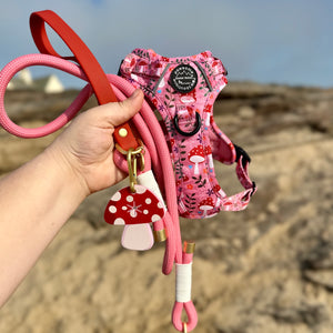 4ft Rope Lead - Red + Pink