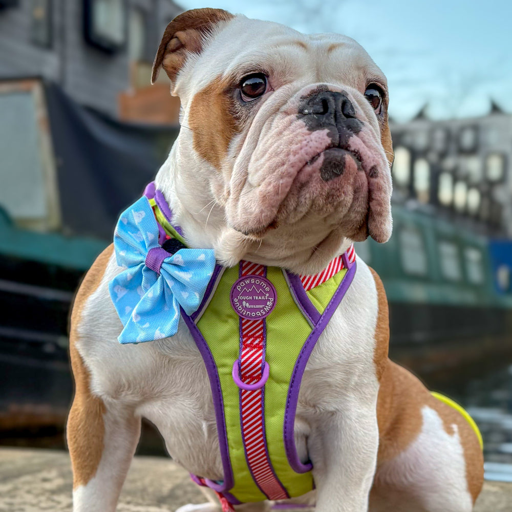 Disney© Sailor Bow - Buzz Lightyear