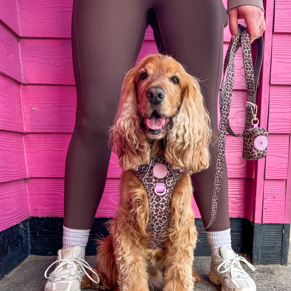 Poo Bag Holder - Leopard Print