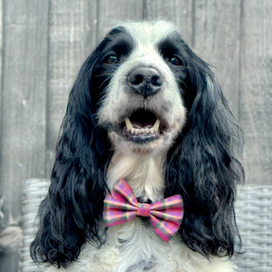 Bow Tie - Tweed Sunset