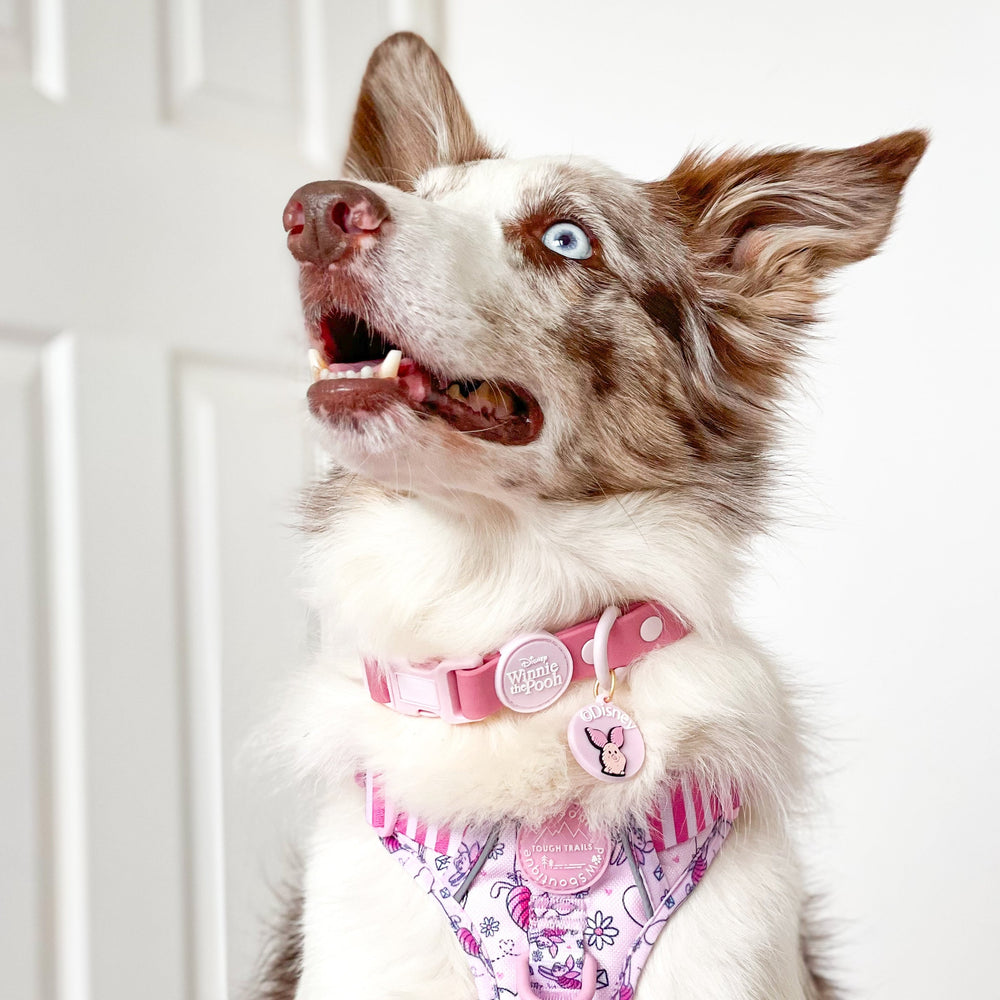 Disney© Collar/Lead Charm - Piglet