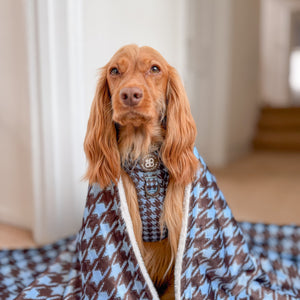 Dog Blanket - Horizon Houndstooth