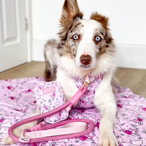 Disney© 4ft Rope Lead - Piglet - Pink