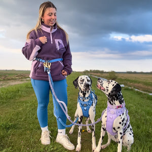 Handsfree Lead - Walkies Ready® Lavender Lilac