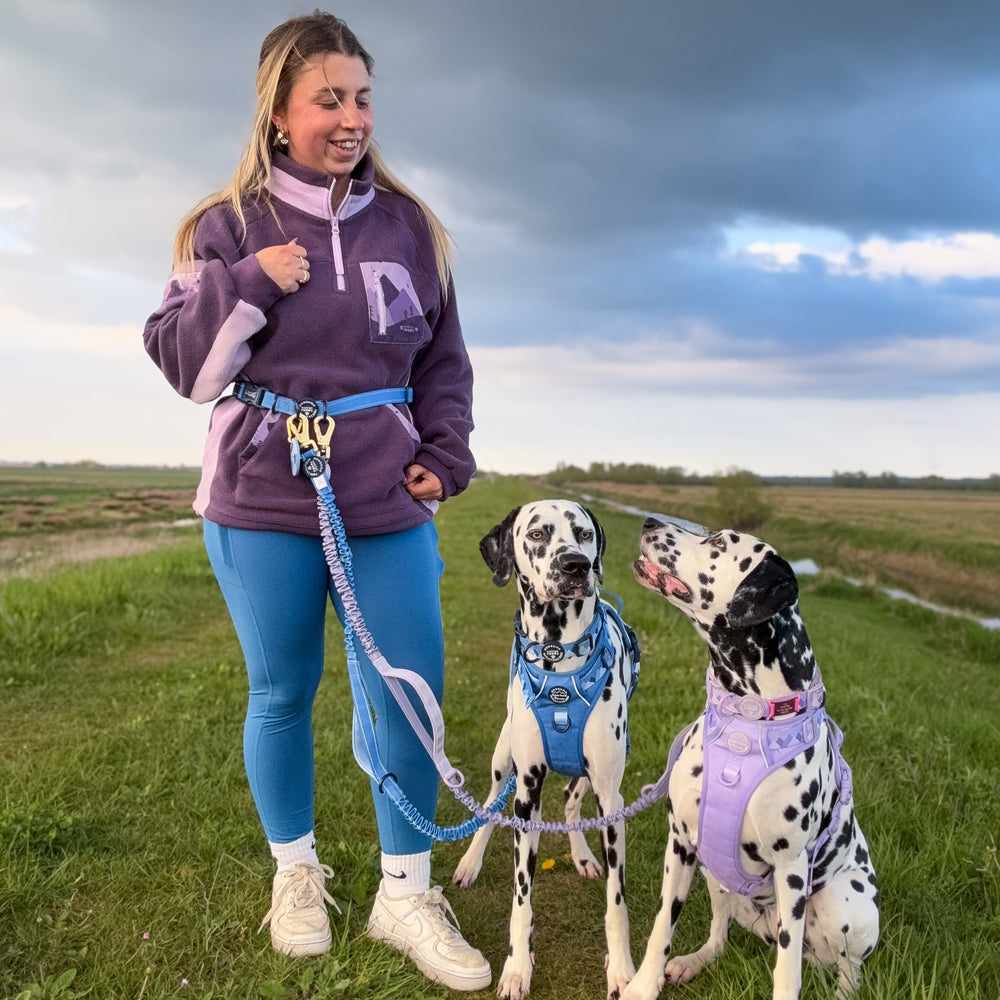 Handsfree Lead - Walkies Ready® Cornflower Blue