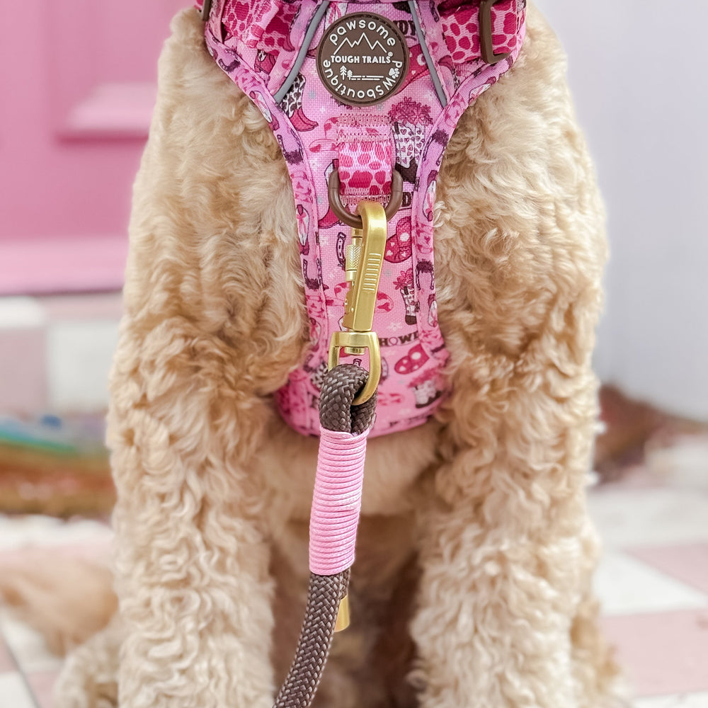 4ft Rope Lead - Brown + Pink