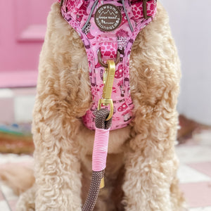 4ft Rope Lead - Brown + Pink