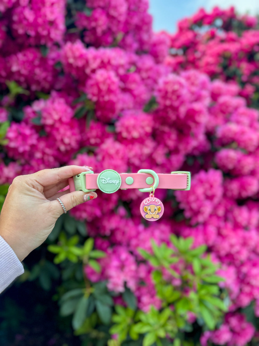 Disney© Waterproof Collar - Nala