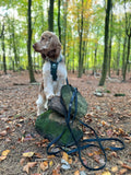 5m Waterproof Long Line Lead - Walkies Ready® Black